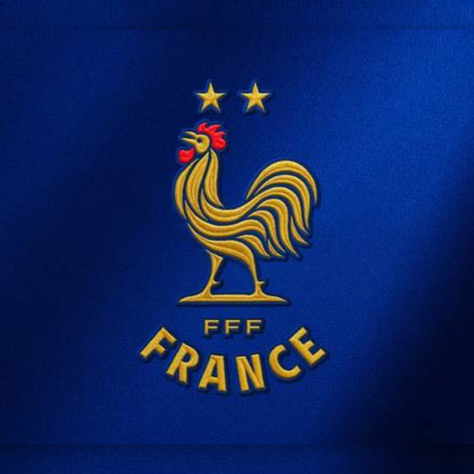Le nouveau blason de l'équipe de France brodé sur un maillot bleu